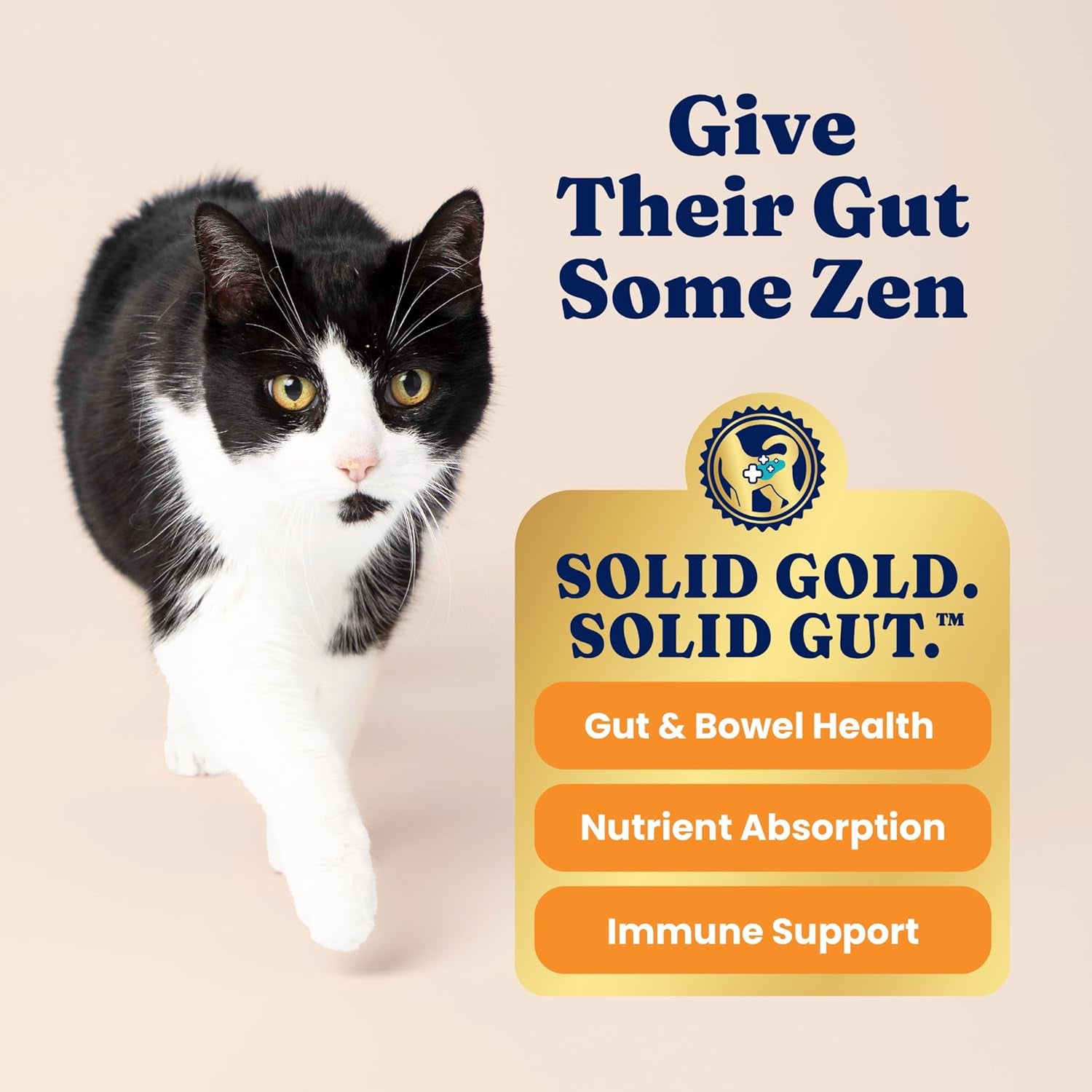 Indoor Dry Cat Food - Grain Free & Gluten Free - Salmon Cat Food Dry Kibble for Indoor Cats for Gut Health - Sensitive Stomach & Hairball Support for Adult Cats - 12LB