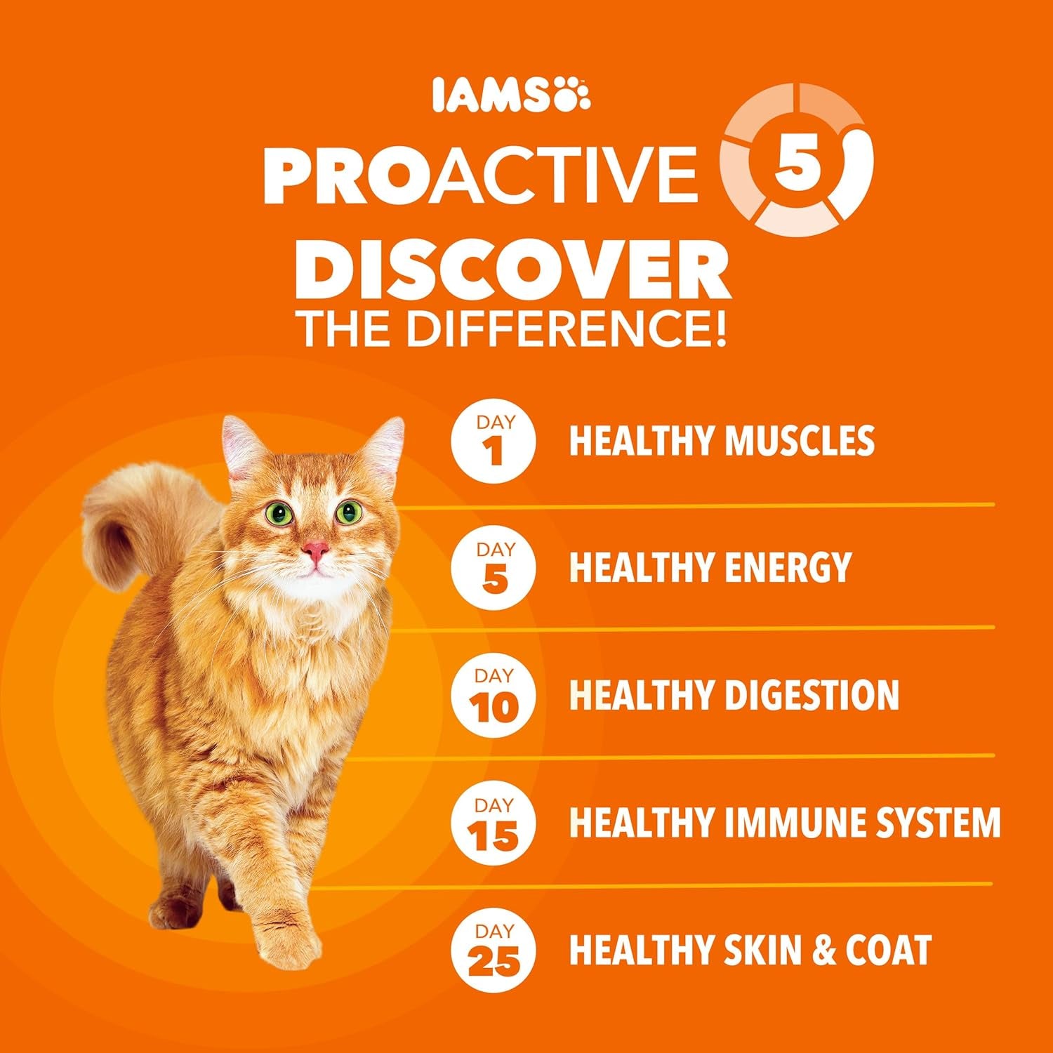 Proactive Health Adult Healthy Dry Cat Food with Chicken, 22 Lb. Bag