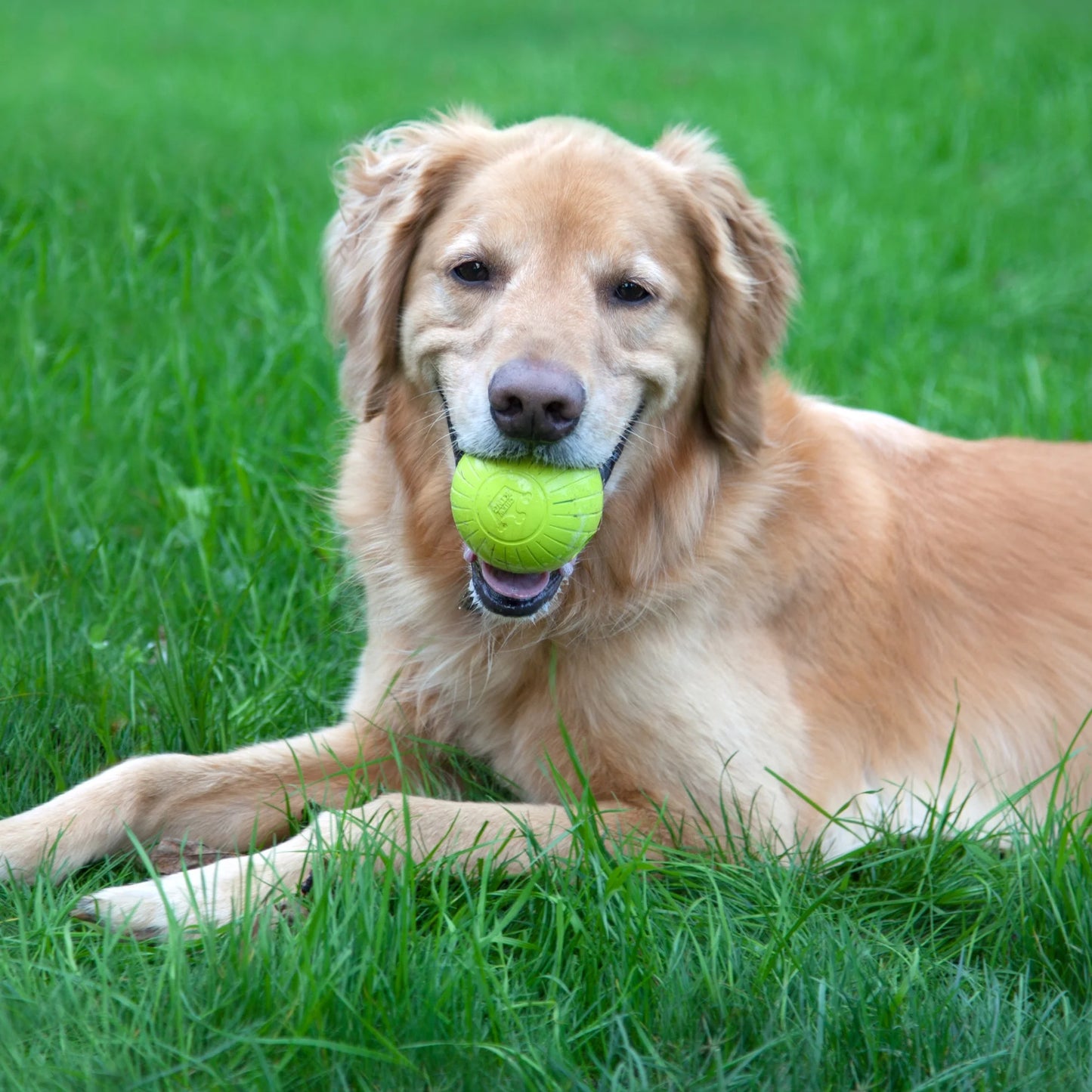 by Mammoth , 3 Inch Supreme Rubber Dog Balls (4-Pack) for Large Breeds