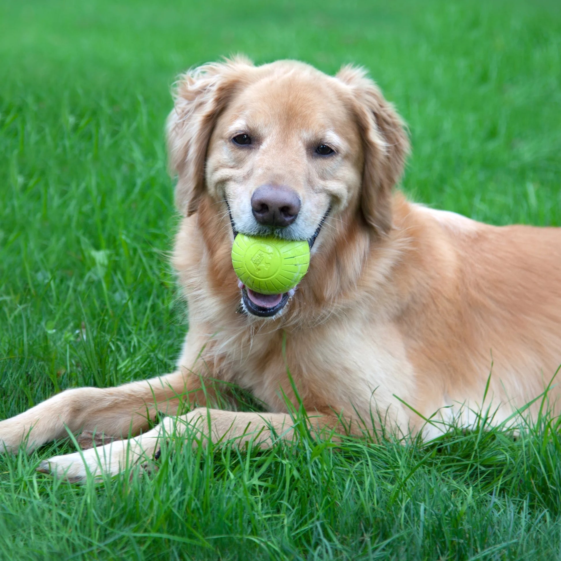 by Mammoth , 3 Inch Supreme Rubber Dog Balls (4-Pack) for Large Breeds
