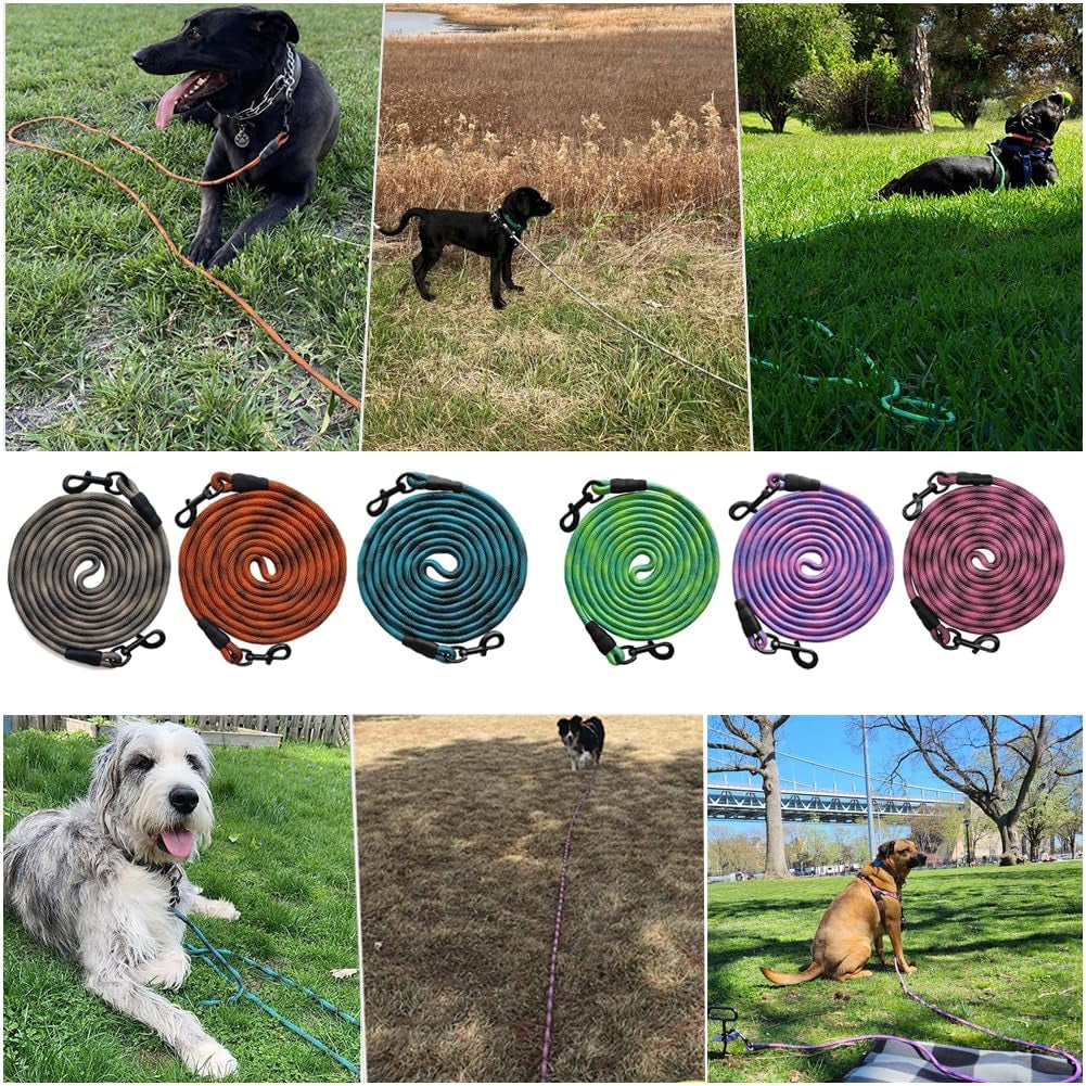 Tie-Out Check Cord Long Rope Dog Tether, 8Ft 12Ft 20Ft 30Ft 50Ft Dog Lead for Yard, Large Medium Dogs Oudoor Training, Playing, Camping, or Backyard (30Ft, Beige Black)