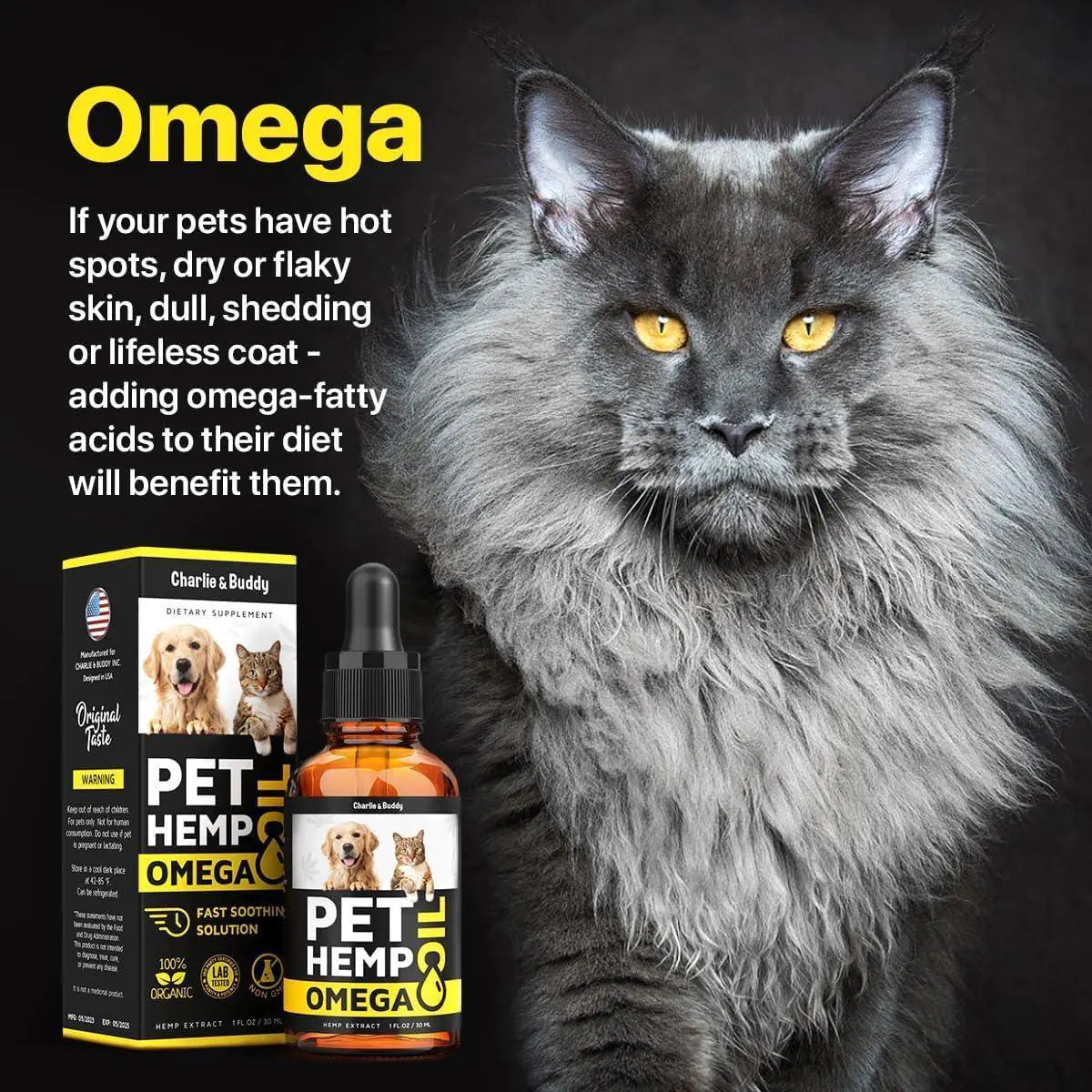 Hemp & Salmon Oil Drops — Omega 3, 6 & 9 in One Pour