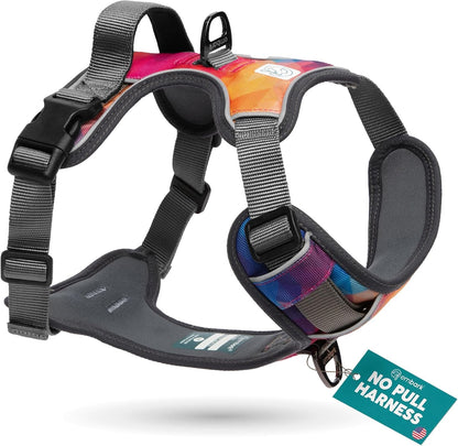 Embark Adventure Small Dog Harness – No-Pull, Reflective Trim, Military-Grade Nylon, Front Clip with Gel-Lined Handle