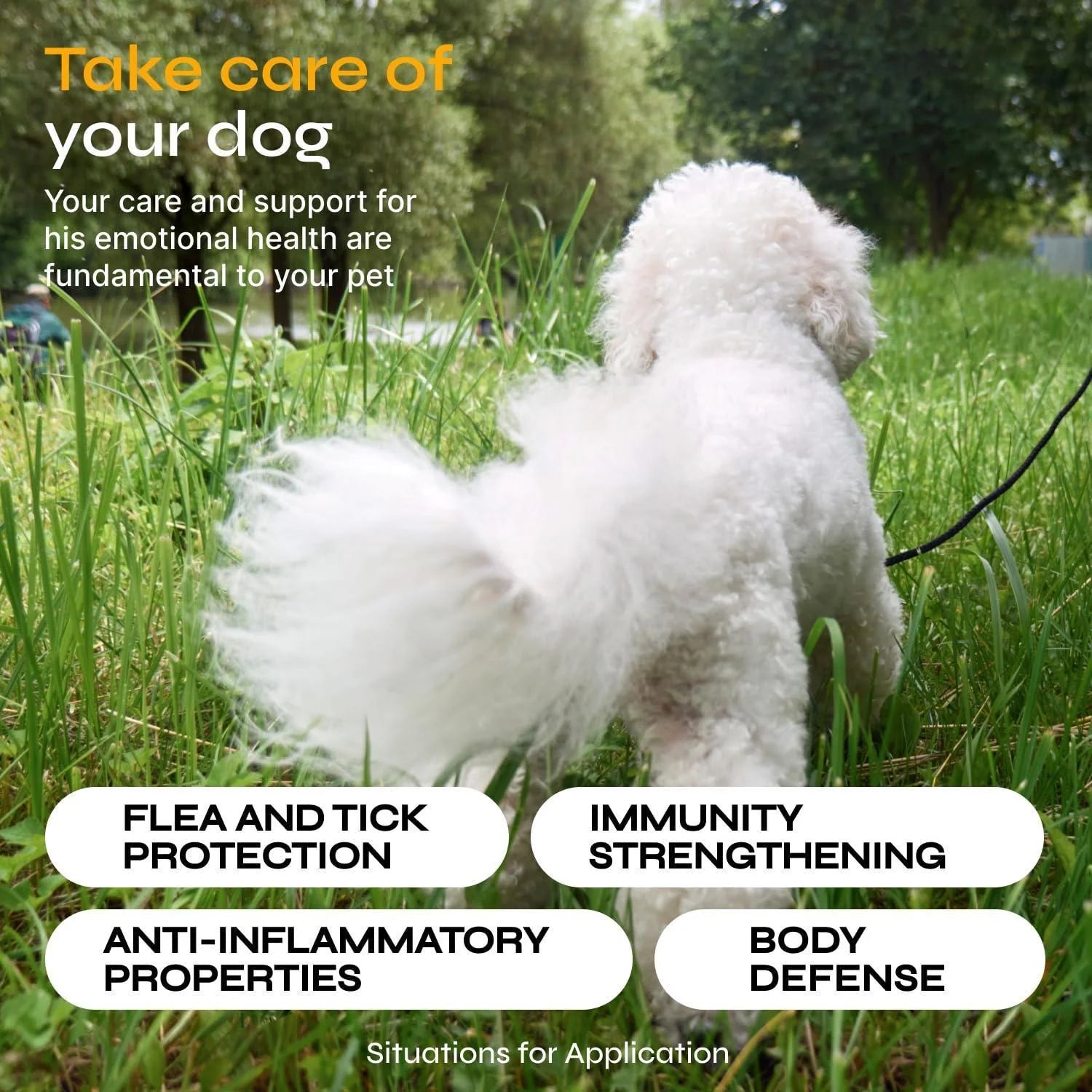 Flea and Tick Prevention for Dogs Dog Flea Treatment Chews Immune Support Flea and Tick Chewables for Dogs Dog Flea & Tick Control Supplement All Breeds & Ages Vet Formulated Soft Treats