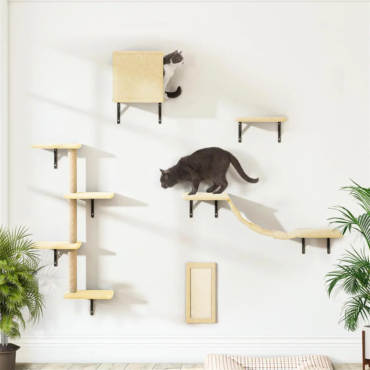 Cat Wall Shelves and Perches Set of 5, Sleeping Playing Lounging Climbing Cat Tree House for Multiple Cats, Beige