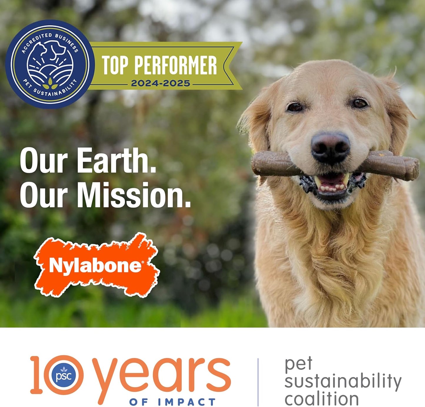 Ergonomic Hold Wishbone Power Chew Toy for Dogs, Dog Toys for Aggressive Chewers, Bison Flavor, Small - up to 25 Ibs, 1 Count