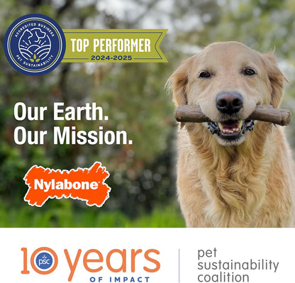 Ergonomic Hold Wishbone Power Chew Toy for Dogs, Dog Toys for Aggressive Chewers, Bison Flavor, Small - up to 25 Ibs, 1 Count