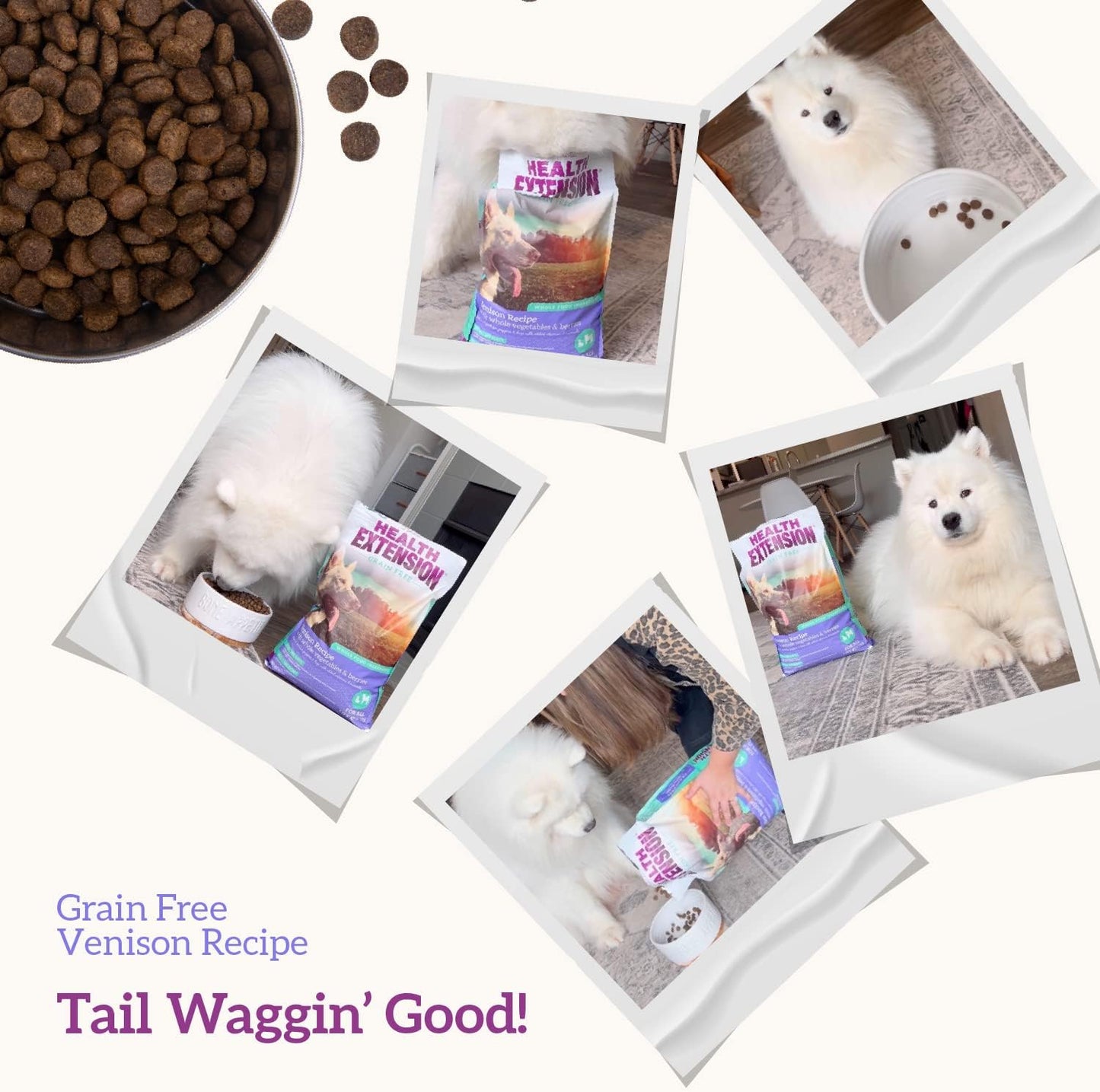 Dry Dog Food, Natural Food with Added Vitamins & Minerals, Suitable for All Puppies, Include Venison & Sweet Potato Recipe with Whole Vegetable & Berries (4 Pound)
