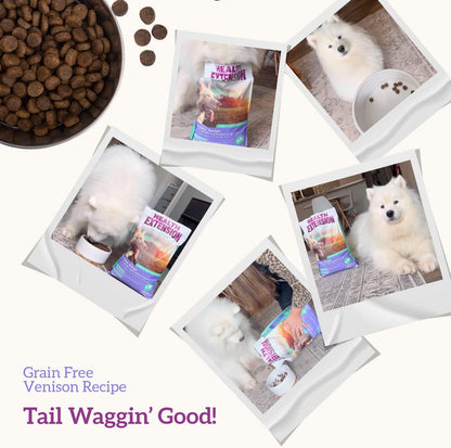 Dry Dog Food, Natural Food with Added Vitamins & Minerals, Suitable for All Puppies, Include Venison & Sweet Potato Recipe with Whole Vegetable & Berries (4 Pound)