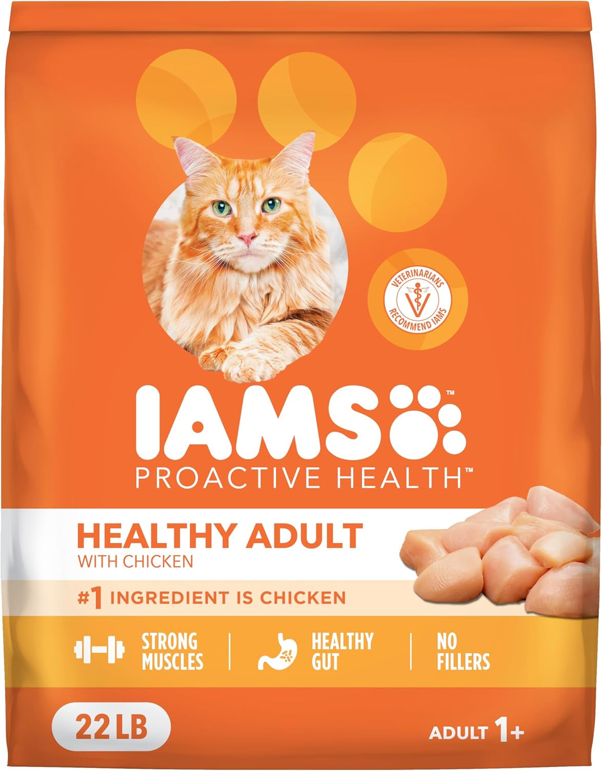 Proactive Health Adult Healthy Dry Cat Food with Chicken, 22 Lb. Bag