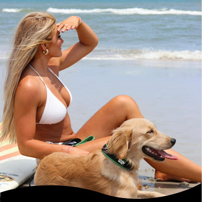 Extra Large Dog Collar - Adjustable Reflective Heavy Duty Dog Collars with Ultra-Soft Neoprene Padding - Weatherproof, Durable, and Comfortable - Ideal for Active Dogs - Red and Black