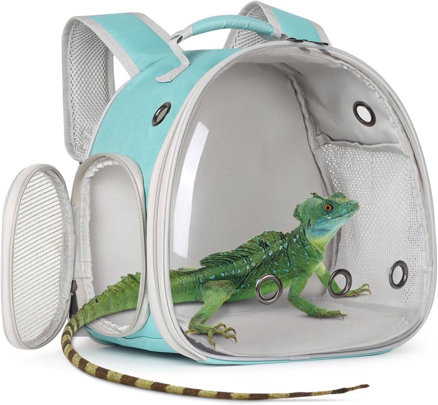 Guinea Pig Backpack Carrier, Reptile Outdoor Used,Bearded Dragon Carrier Backpack with Clear Bubble Window,Small Animal Travel Backpack for Hedgehog Rat Parrot, Airline Approved (Grey, Backpack)