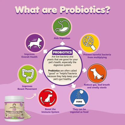 9-Strain Dog Probiotic Powder — 5 Billion CFU, Vet-Formulated