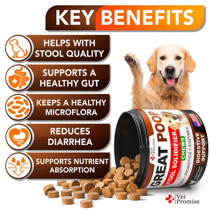 Great Poop Probiotic Chews — High Fiber for Gut Drama Survivors