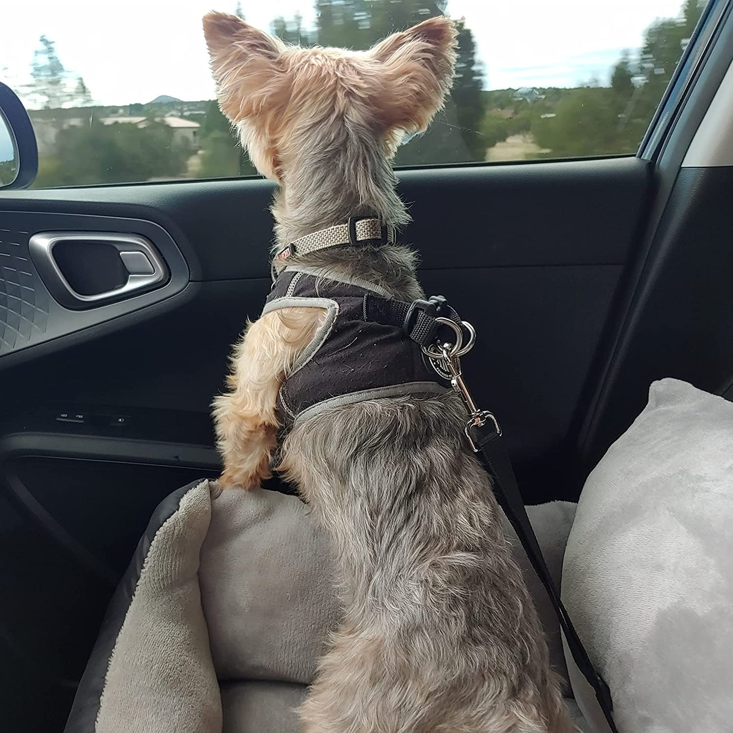 Dog Booster Car Seat & Bed for Small Dogs, Washable Anti-Slip Pet Seat with Adjustable Safety Buckle and Storage Pockets - Front or Back Seat