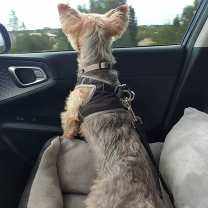Dog Booster Car Seat & Bed for Small Dogs, Washable Anti-Slip Pet Seat with Adjustable Safety Buckle and Storage Pockets - Front or Back Seat