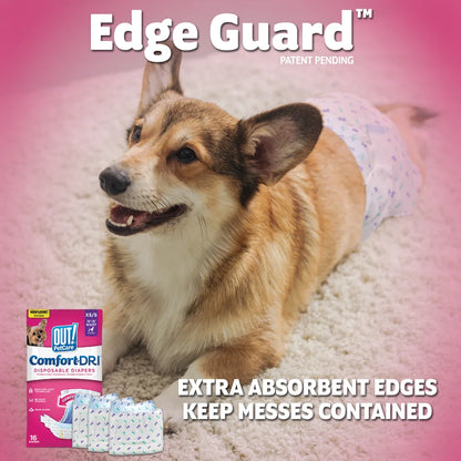 Pet Care Disposable Female Dog Diapers | Absorbent with Leak Proof Fit | Xs/Small, 16 Count
