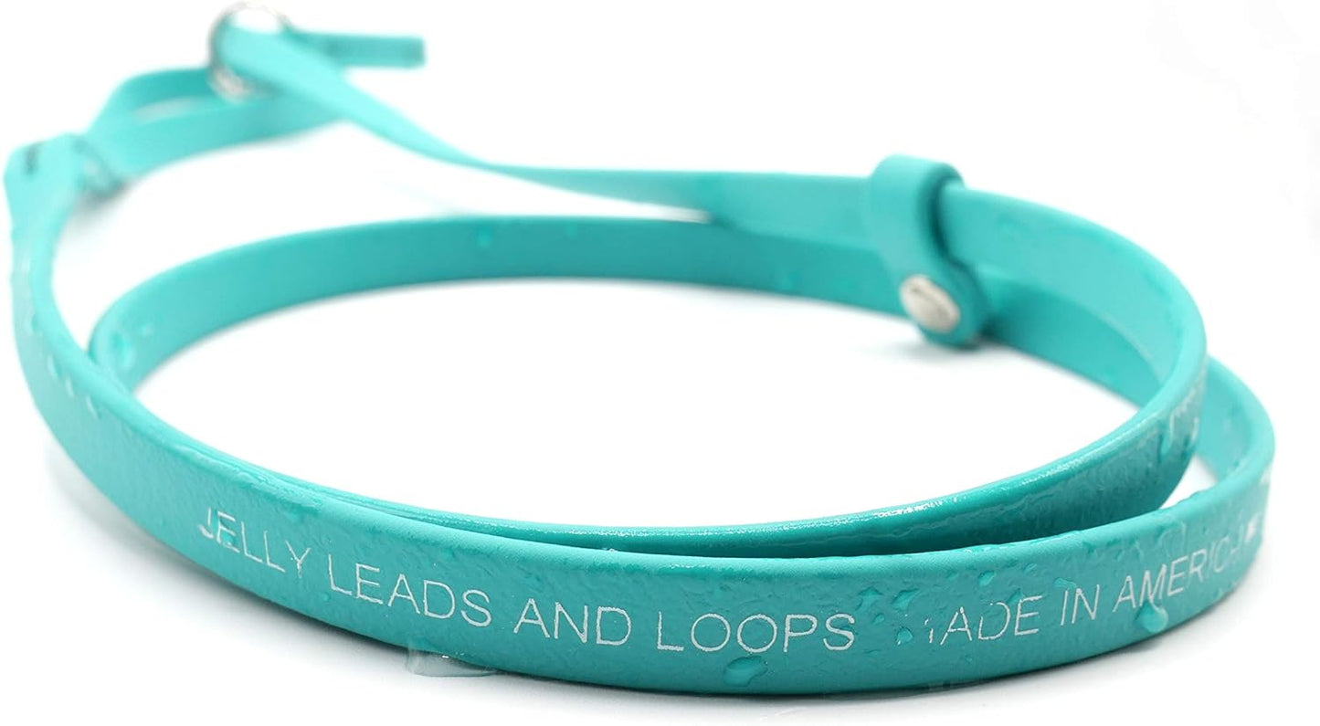 Jelly Pet Grooming Lead for Dogs | Great for Kennels, Veterinarians and Dog Grooming Salons | Biothane Leash - Easy to Clean, Waterproof & Durable Noose Loop | Made in USA | 3/8'' X 4'