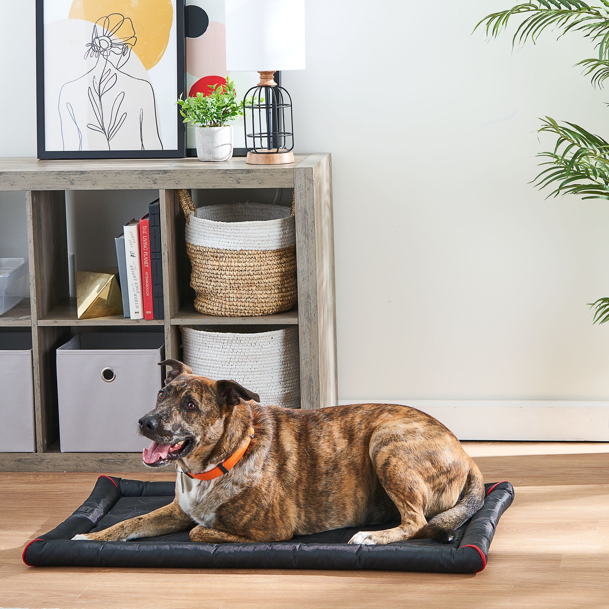 Durable & Water-Resistant Dog Crate Mat, Black, 35"
