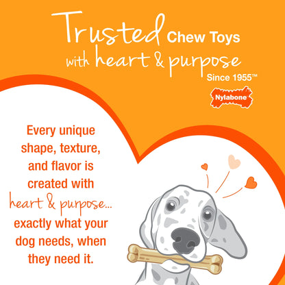 Femur Bone Rawhide Alternative Power Chew Durable Dog Toy - 50+ Lbs.