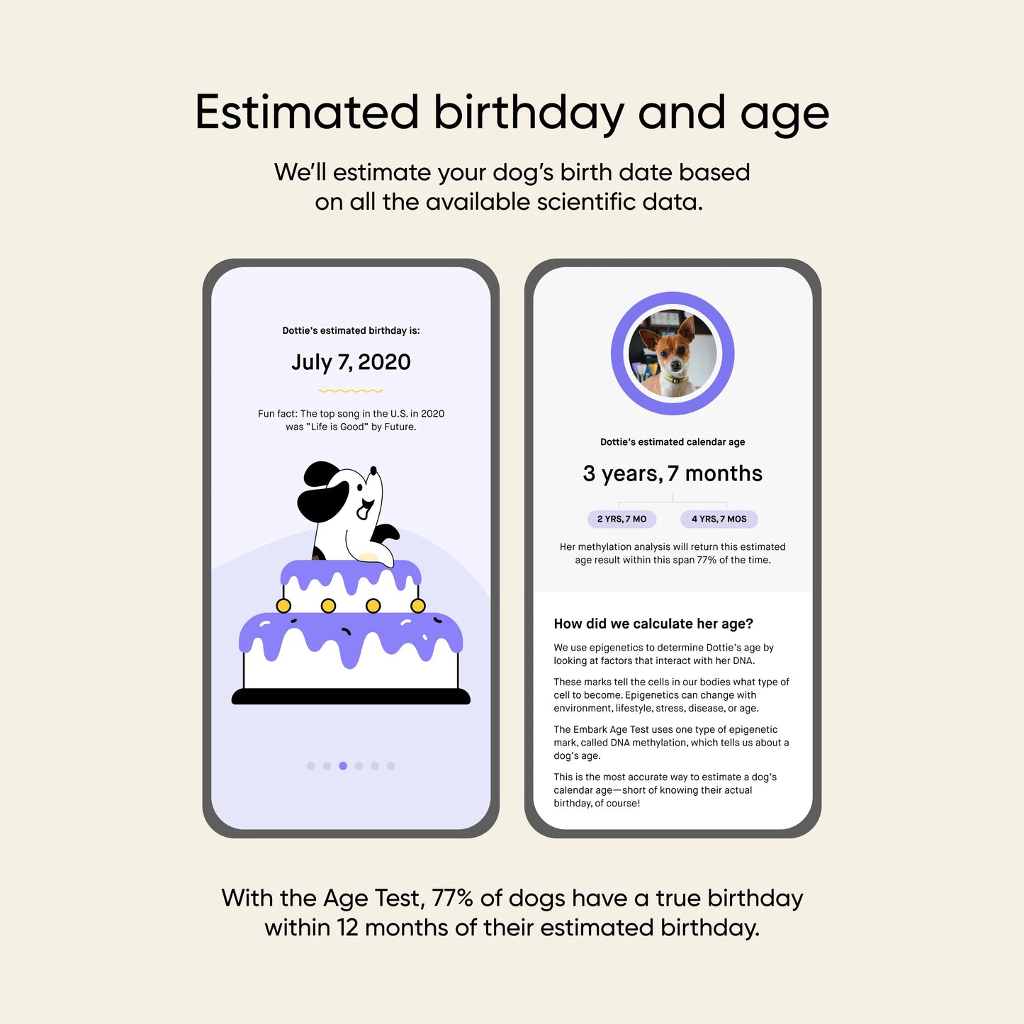 Dog Age Test