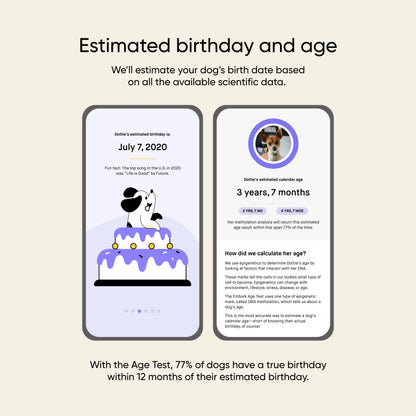 Dog Age Test
