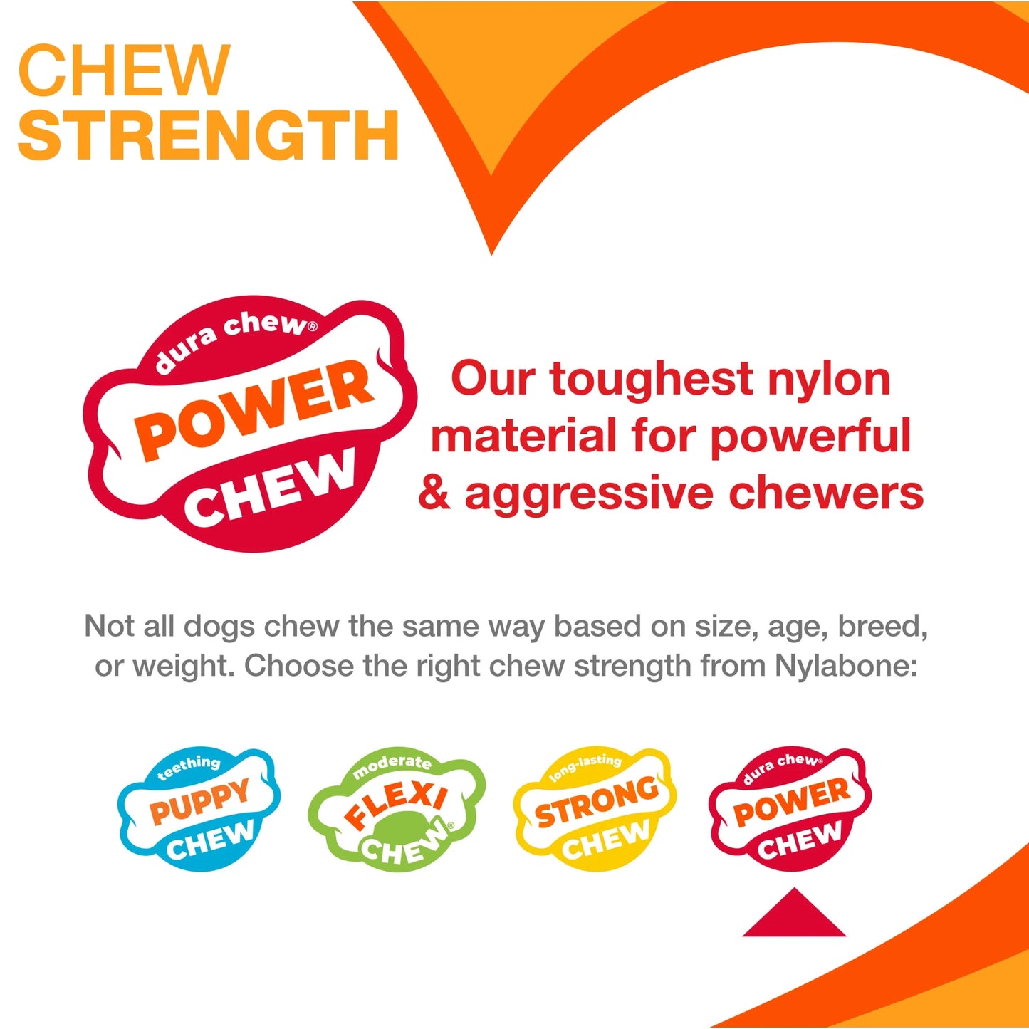 Femur Bone Rawhide Alternative Power Chew Durable Dog Toy - 50+ Lbs.