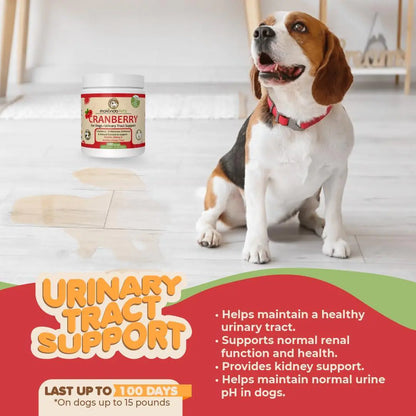 Cranberry UTI Supplement for Dogs — Bladder Defense, Daily