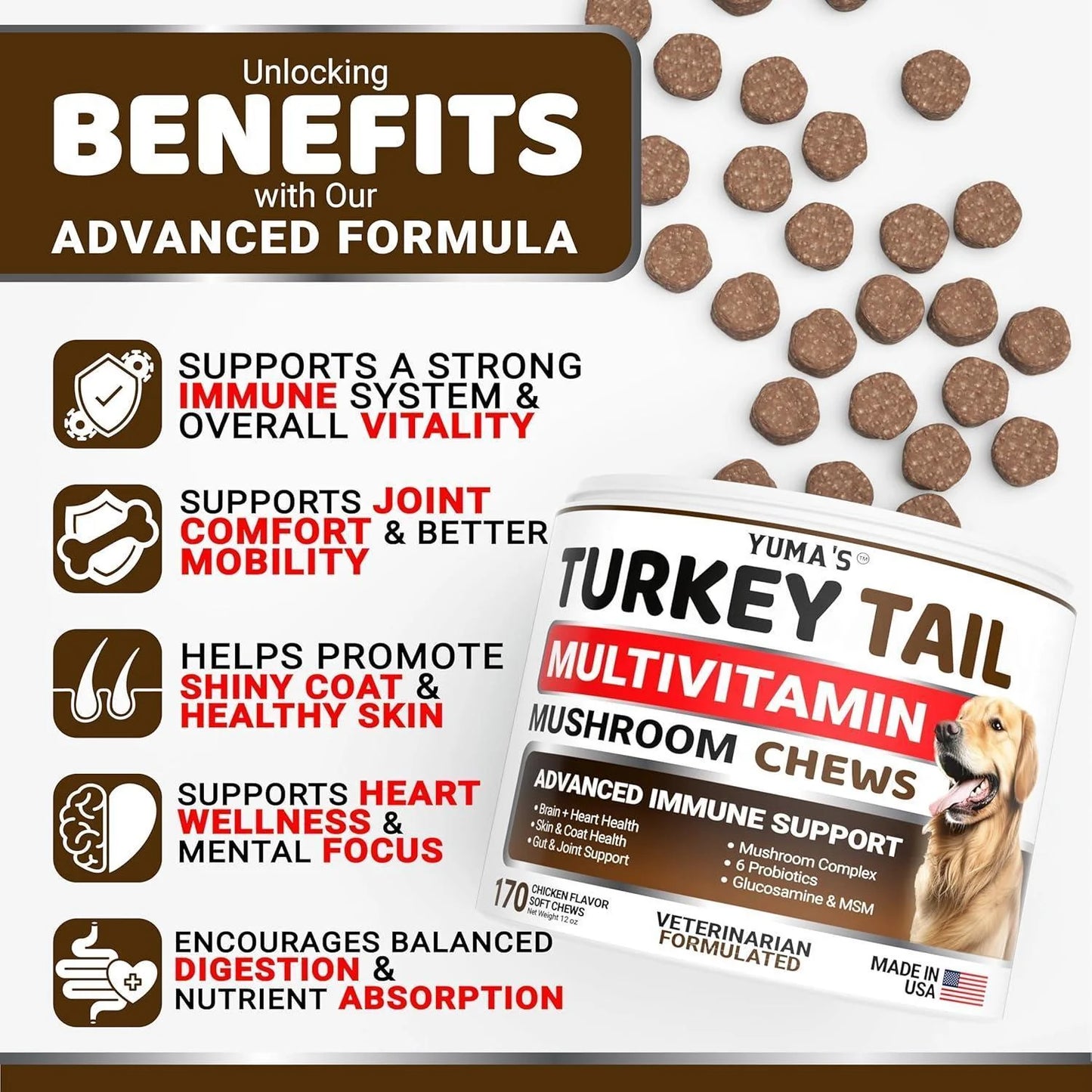 Turkey Tail Mushroom for Dogs Vitamins and Supplements for Dogs Lumps and Bumps Guard Multivitamin Buddy