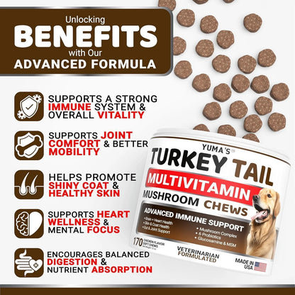 Turkey Tail Mushroom for Dogs Vitamins and Supplements for Dogs Lumps and Bumps Guard Multivitamin Buddy