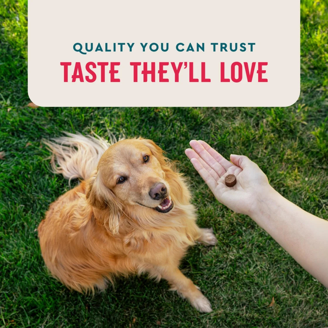 VETIQ 8-In-1 Multifunctional Dog Chew