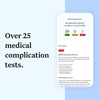 Essential, Breed Identification & Health Condition Identification, Dog DNA Test Kit