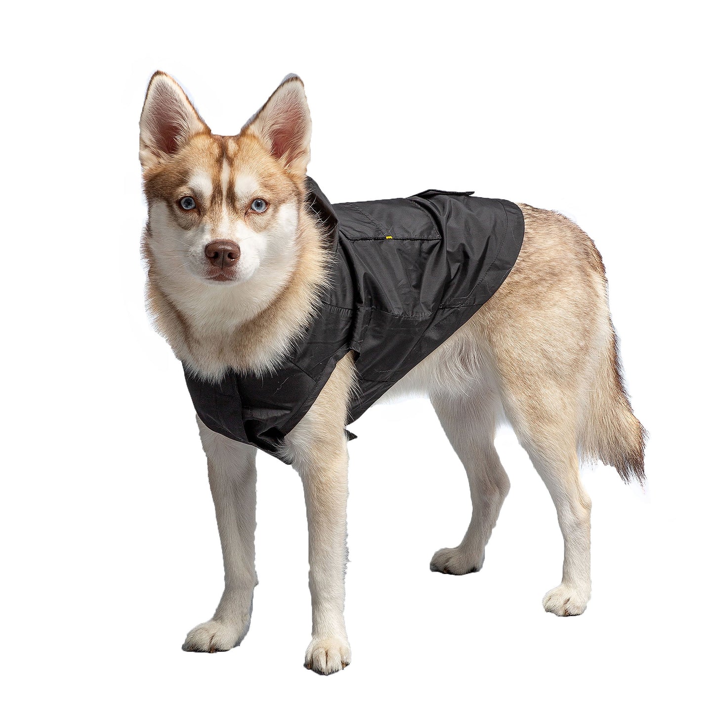 US Army Packable Dog Raincoat — Packs Into Itself, Always Ready