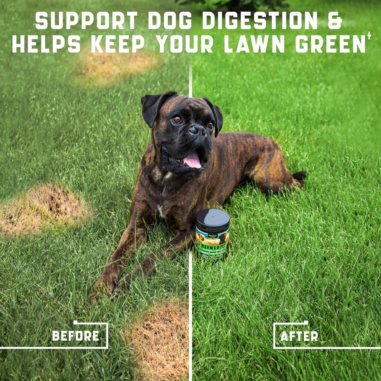 Green Lawn Chews — Stop the Yellow Spots Before They Start