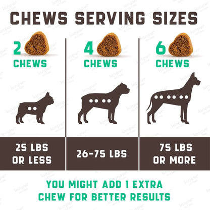 Dog Allergy Chews — 5-Strain Probiotic + Omega + ACV