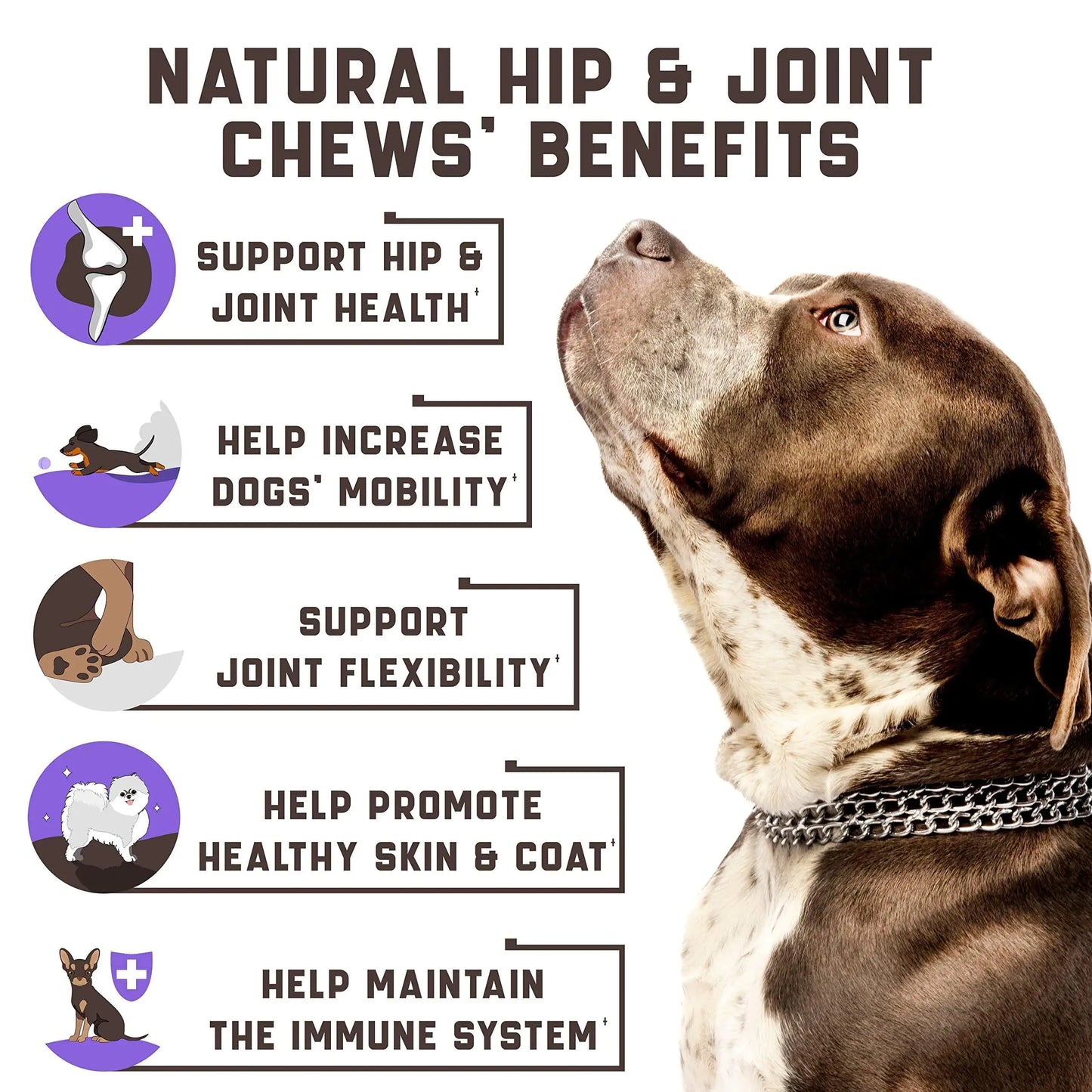 Glucosamine + Hemp Joint Supplement — Move Better, Feel Better