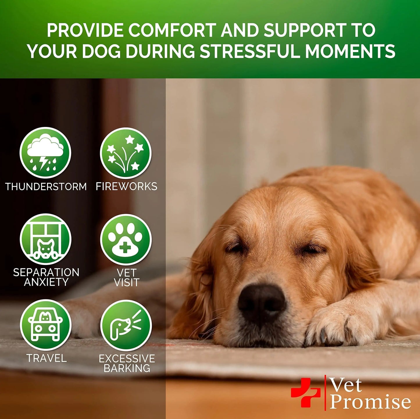 Hemp Calming Chews — For Dogs Who Feel Everything Intensely